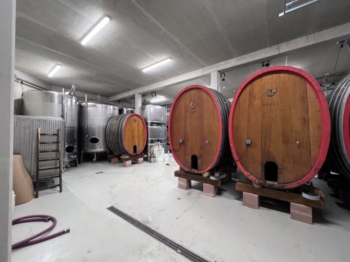 Domaine Laurent VOGT à Wolxheim